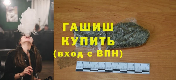 гашик Алексин