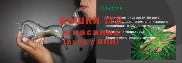 PSILOCYBIN Алексеевка