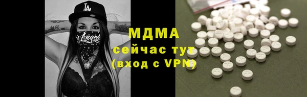 гашик Алексин